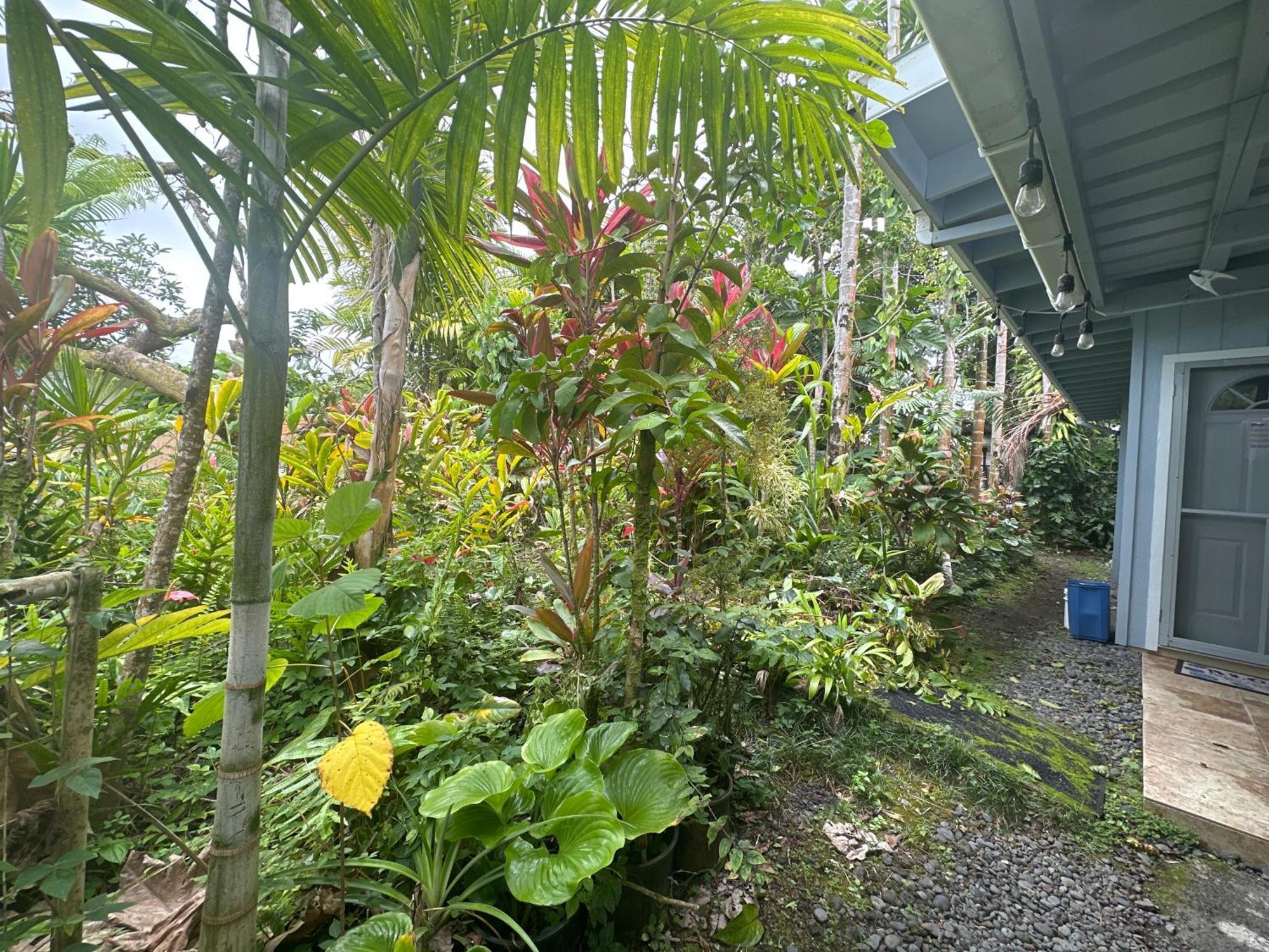هيلو Hawaiian Ohana Home المظهر الخارجي الصورة