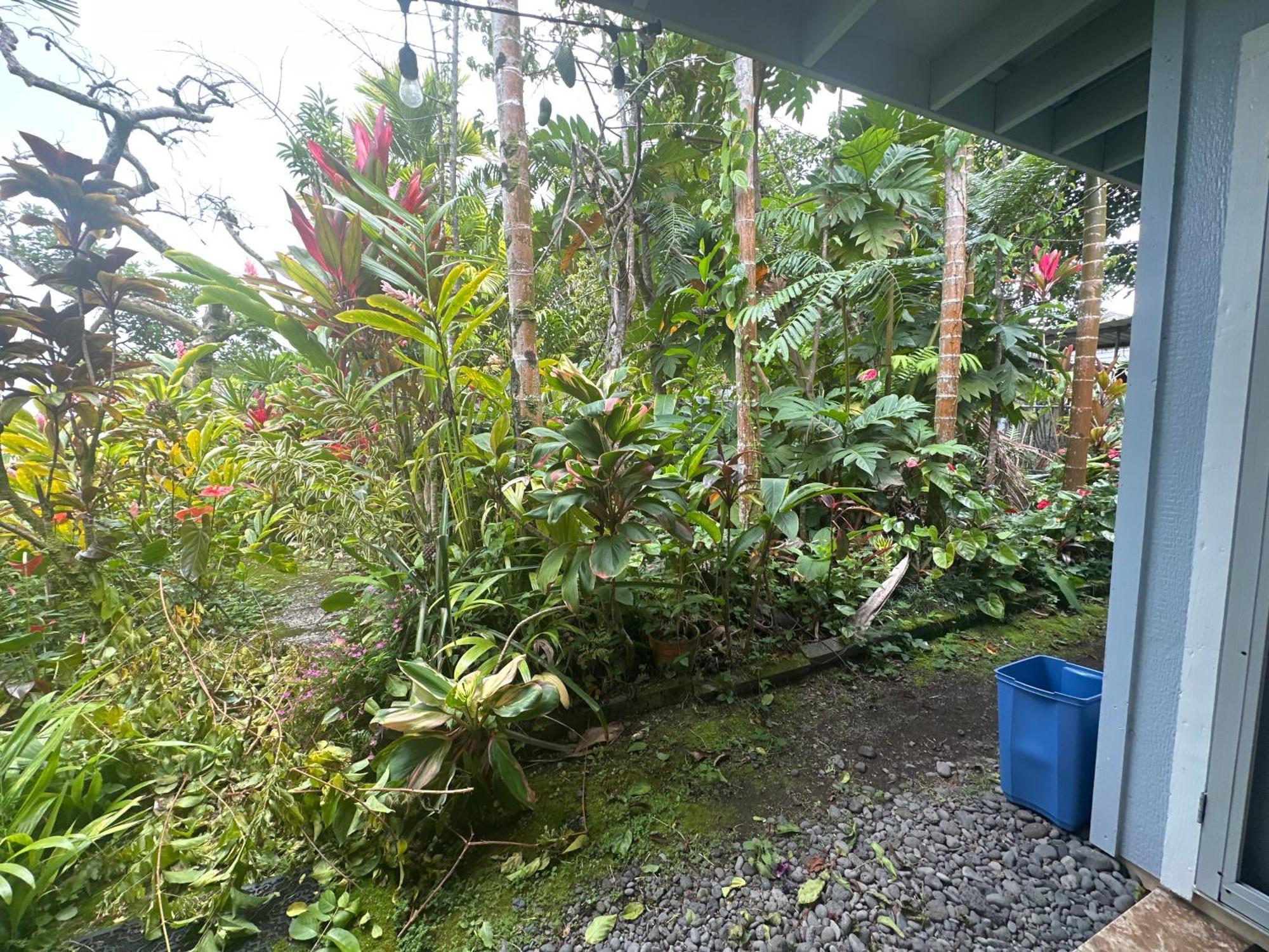 هيلو Hawaiian Ohana Home المظهر الخارجي الصورة